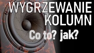 Wygrzewanie Kolumn Głośników Sprzętu Audio  co to takiego [upl. by Aninnaig]