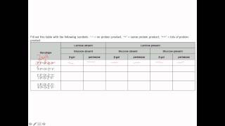 Operon3sophisticated [upl. by Leonard]