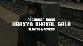 Ubaxyo Dhaxal Gala  slowedreverb  Abdinasir Nasri [upl. by Akined]