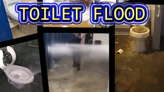 TOILET FLOOD COMPILATION [upl. by Yelsiap]