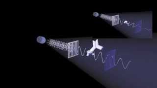 Fluorescence Polarization [upl. by Buffy798]