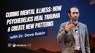 quotCuring Mental Illness How Psychedelics Heal Trauma amp Create New Patternsquot with Dr Dave Rabin [upl. by Demitria557]