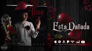 Ivan Cornejo  Está Dañada Audio Oficial [upl. by Enomsed]