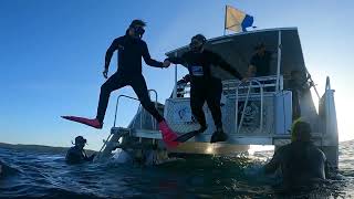 Discover Snorkelling in Jervis Bay [upl. by Maples]