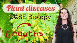 Plant diseases  GCSE Biology Revision for 2020 [upl. by Allen]