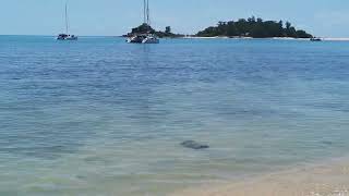 videography choeng mon beach koh samui [upl. by Adnarrim]