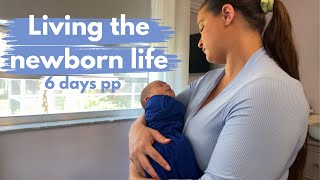 Life With A Newborn  Breastfeeding amp Baby Updates [upl. by Micheline461]