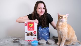 Top 10 Best Cat Litters of 2021 We Tried Them All [upl. by Aedrahs]