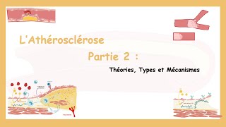 Athérosclérose Partie 2 Mécanismes [upl. by Einahpehs726]