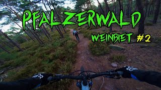 Pfälzerwald Trails im geilsten Wald Deutschlands Part 2 [upl. by Sivrup546]