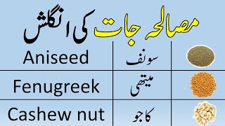 Spices And Herbs Vocabulary in English with Urdu Meanings  AW English [upl. by Hyde773]