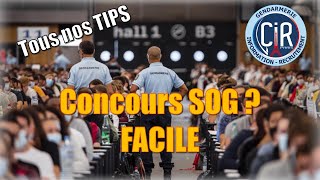 CONCOURS SOG  COMMENT REUSSIR [upl. by Nahsin]