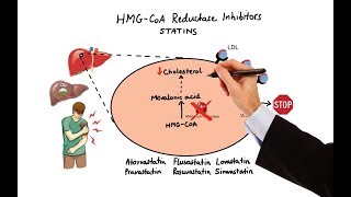 Pharmacology  DRUGS FOR HYPERLIPIDEMIA MADE EASY [upl. by Cherlyn]