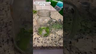 Quick and easy mojito recipe  Virgin mojito foodeasyrecipeindianshortsshortvideomojito [upl. by Boardman]