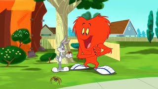 The Looney Tunes Show  Gossamer Dialogue Itsy Bitsy Gopher [upl. by Anrim259]