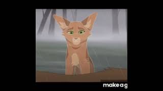 Sandstorm and firestar edit firestar warriorcats sandstorm fyp viral cat warriors [upl. by Aerdnael]