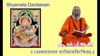 Shyamala Dhandakam Chant by Pujyasri Swami Omkarananda [upl. by Gerdi]