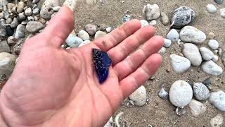 EXTREME Rock and Beach Glass Hunt Western Shore of Lake Michigan [upl. by Wivina347]