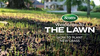 Welcome To The Lawn How to Plant New Grass [upl. by Anomer237]