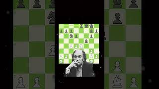 Mikhail Tal Magic ✨ chess magnus edit mastermind chessgrandmaster chessgame [upl. by Eisele854]