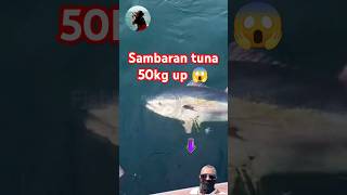 Mancing mania  Sambaran tuna 50kg up 😱 [upl. by Atneciv]