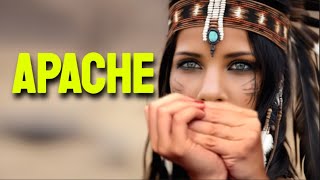 APACHE HARMONICA  C DIATONIC  ARMÓNICA C TABS BLUES HARP C GAITA DE BOCA C MUNDHARMONIKA C [upl. by Ymerej200]