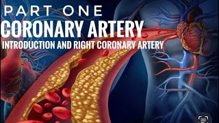 BLOOD SUPPLY OF HEARTPart 1  RIGHT CORONARY ARTERY [upl. by Diba]