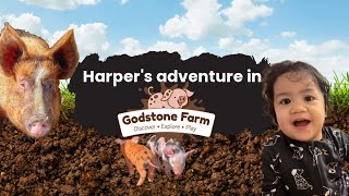 Harpers Adventure in Godstone Farm [upl. by Fulmer697]