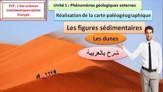 Les figures sédimentaires les dunes 1 Bac sc math شرح بالعربية [upl. by Nosremaj772]