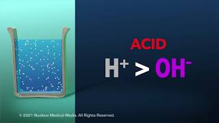 Acids and Bases [upl. by Ube432]