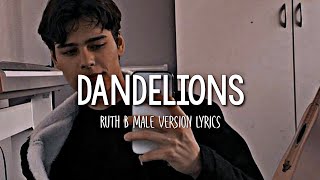 Ruth B  Dandelions  Male Version Lyrics [upl. by Ilise173]