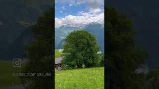 linthal glarus switzerland swiss suisse paradise video youtube shorts viralvideo fyp [upl. by Mitzl]