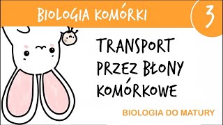 Cytologia 3  Transport przez błony komórkowe  biologia liceum poziom rozszerzony matura [upl. by Ragen128]