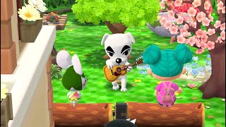 Animal Crossing Pocket Camp  My Campsite [upl. by Ballou]