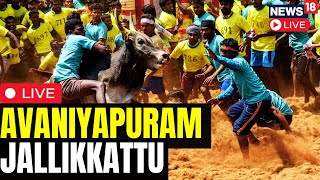 Avaniyapuram Jallikkattu LIVE  Tamil Nadu Jallikkattu LIVE 2024  Jallikkattu Live 2024  N18L [upl. by Lattonia]