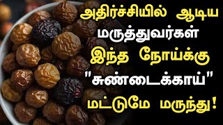 சுண்டைக்காயின் அதிர்ச்சி தகவல்  Health Benefits of Sundakkai in Tamil Sundakkai Uses  Tamil News [upl. by Enybor]