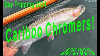 Stillwater Fly Fishing Cariboo Chrome  Deep Crons for Silver Bullet Rainbows  BCFLYGUYS DT S02E04 [upl. by Derayne]