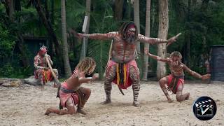 Aboriginal dance show  Australia [upl. by Kerstin]