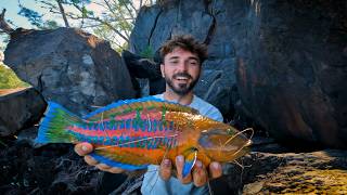 Ces gros poissons exotiques foncent sur mon appât vivant  Vlog PÊCHE 974 [upl. by Nesilla773]