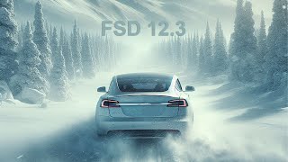 Tesla FSD 12 3 Winter Blizzard Drive [upl. by Jeb653]