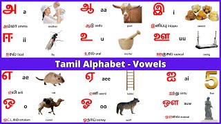 Tamil alphabets  Tamil Vowels  Learn Entry [upl. by Llenart678]