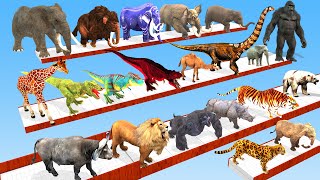 Animals vs Dinosaurs amp KingKong Speed Race Run Zigzag Down Course Animal Revolt Battle Simulator [upl. by Nomaj697]