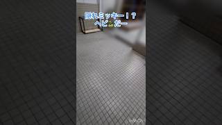 隠れミッキー⁉️⁉️ん❓❓🐍ヘビだー‼️😱ミッキー 隠れミッキー ヘビ アラフォー [upl. by Jose394]