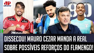 quotISSO É UMA COISA MALUCA cara O Flamengoquot Mauro Cezar FALA TUDO de possíveis CONTRATAÇÕES [upl. by Finzer]