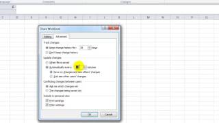 Use Excel to shared workbook to collaborateExcel 2010 [upl. by Nirhtak569]