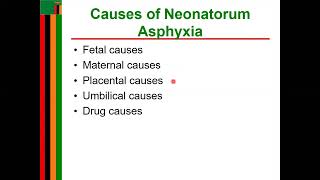 Perinatal asphyxia [upl. by Nnayrrehs97]