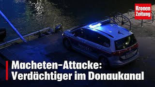 Tödliche MachetenAttacke in Wien Verdächtiger springt in Donaukanal  kronetv NEWS [upl. by Silberman]