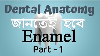 Enamel  Part  1  Dental Anatomy Bangla tutorials  Important for both Written and Viva [upl. by Ubald407]