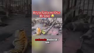 🙈 Maymunlara Yapılan Eşek Şakası 😜 🐅 [upl. by Karlee666]