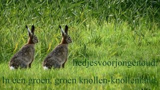 Liedjesvoorjongenoud met beeld en muziek In een groen groen groen groen knollenknollenland [upl. by Rihana]